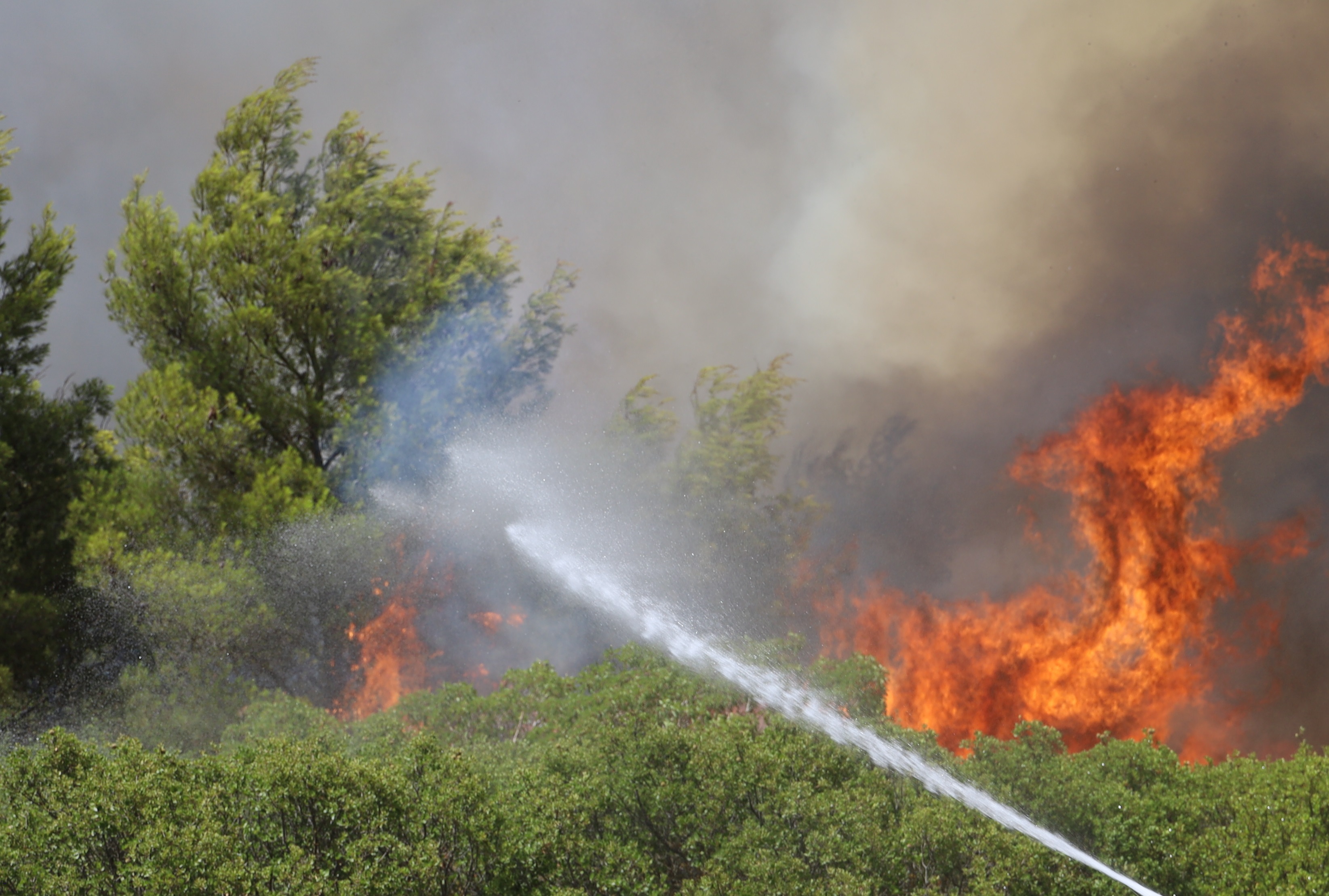 «Πορτοκαλί» συναγερμός για φωτιές σήμερα στην Εύβοια- Σε κατηγορία κινδύνου 4 το νησί
