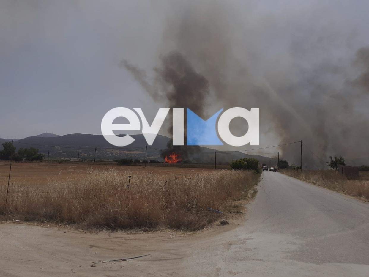 Sos για τις φωτιές στην Εύβοια: Μπαράζ ανακοινώσεων για καθαρισμούς οικοπέδων