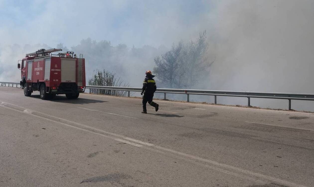 Φωτιά στα Άγναντα Ηλείας