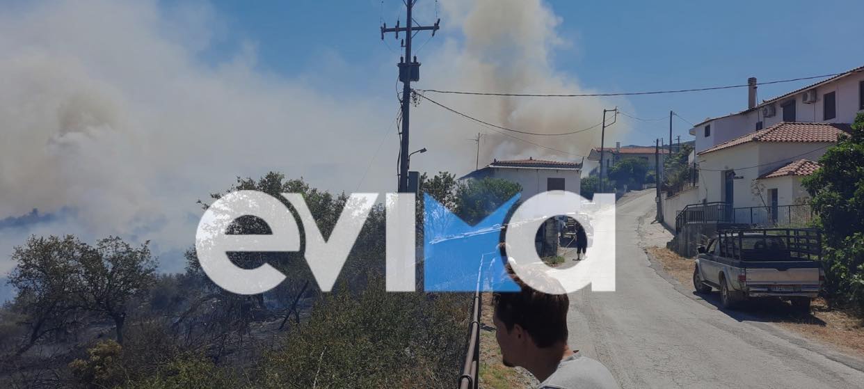 Συναγερμός στην Εύβοια: Η πρώτη «πολύ δύσκολη ημέρα της αντιπυρικής περιόδου»