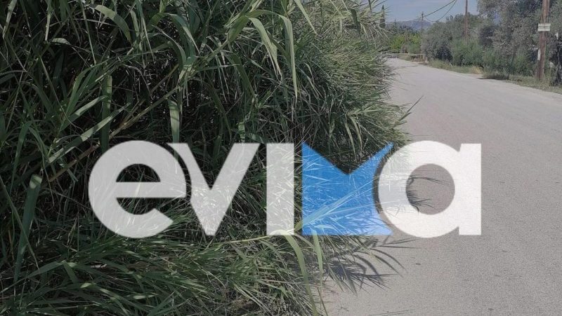 «Καμπανάκι» πολιτών για τον δρόμο στον Μύτικα Ευβοίας