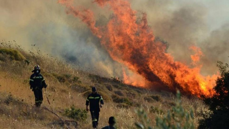 Φωτιά στο Δίστομο Βοιωτίας