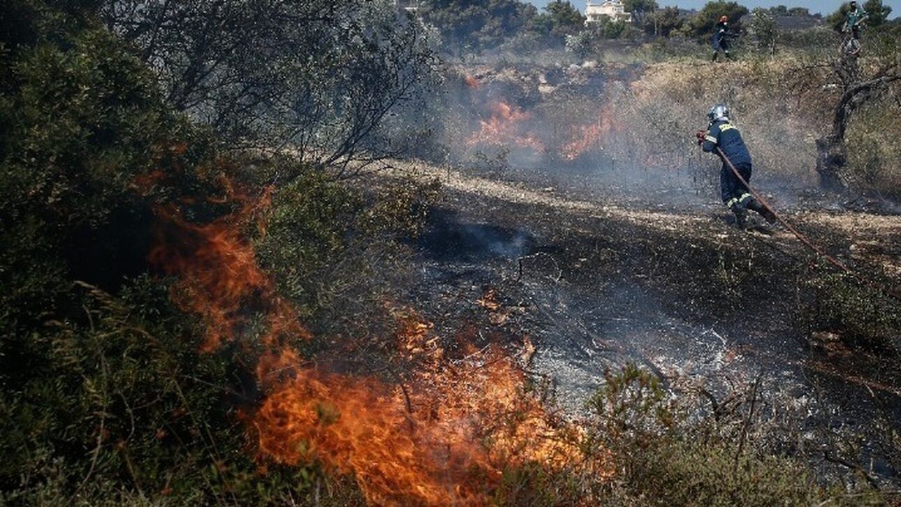 Πυροσβεστική: 58 πυρκαγιές μέσα σε 24 ώρες – Καλύτερη η εικόνα σε Έβρο, Μυτιλήνη και Κρέστενα