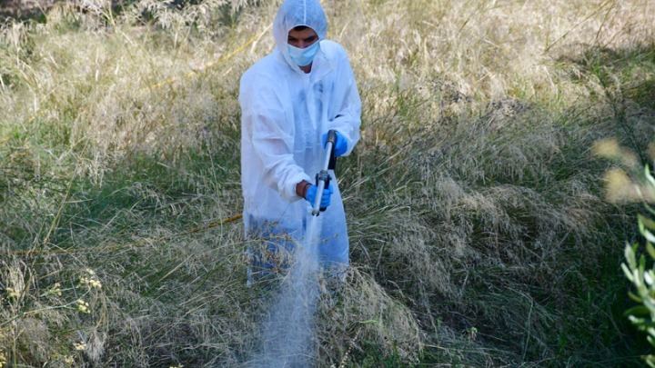 Ευβοια: Το πρόγραμμα ψεκασμών για τα κουνούπια