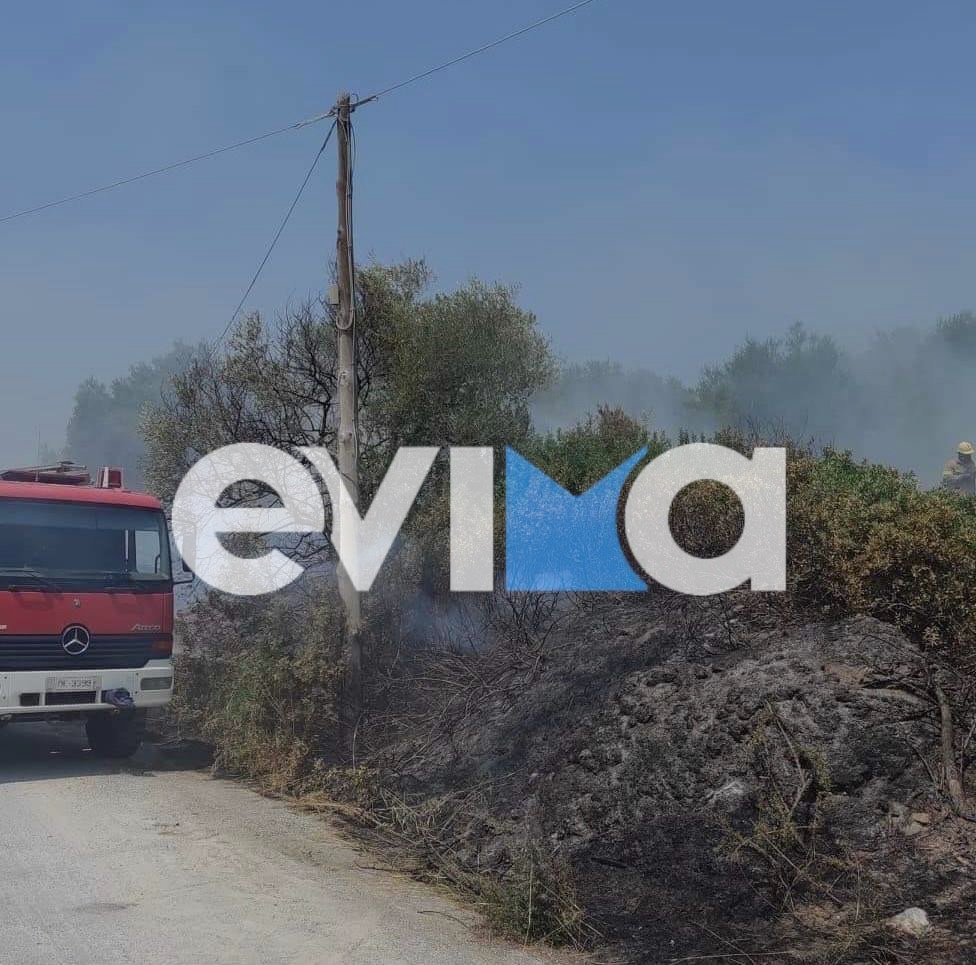 Εύβοια: Σε επιφυλακή η πυροσβεστική – Πολύ υψηλός κίνδυνος πυρκαγιάς στα Κεντρικά και Νότια του Νομού