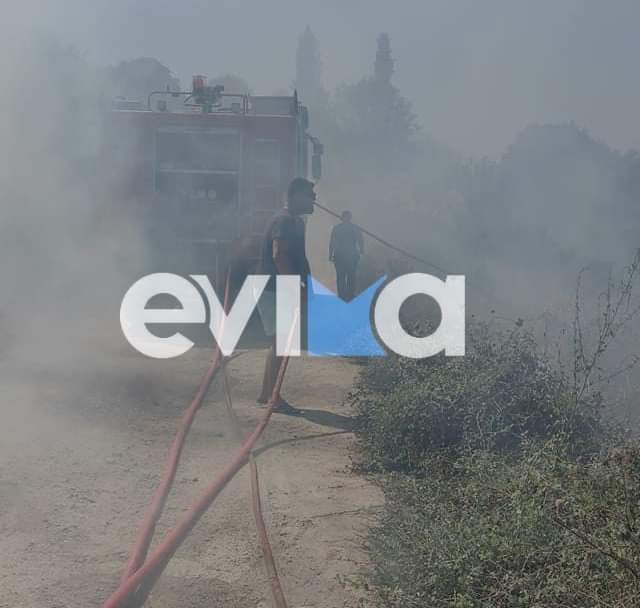 Βόρεια Εύβοια: Φωτιά στον Άγιο του Δήμου Ιστιαίας Αιδηψού (pics)