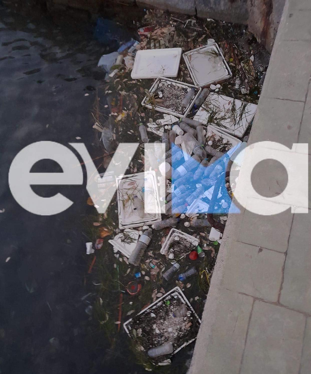 Eύβοια: Εικόνες ντροπής στον Κάραβο Αλιβερίου- Γεμάτος σκουπίδια ο λιμενοβραχίονας
