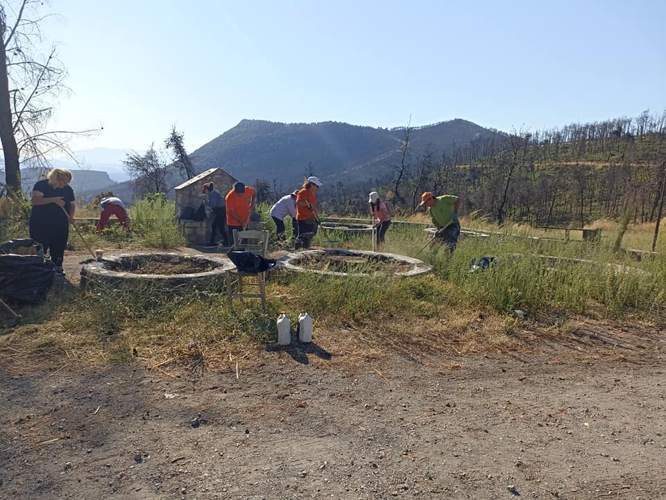 Βόρεια Εύβοια: Ξεκίνησε το πρόγραμμα του ΟΑΕΔ για τους ρητινοκαλλιεργητές