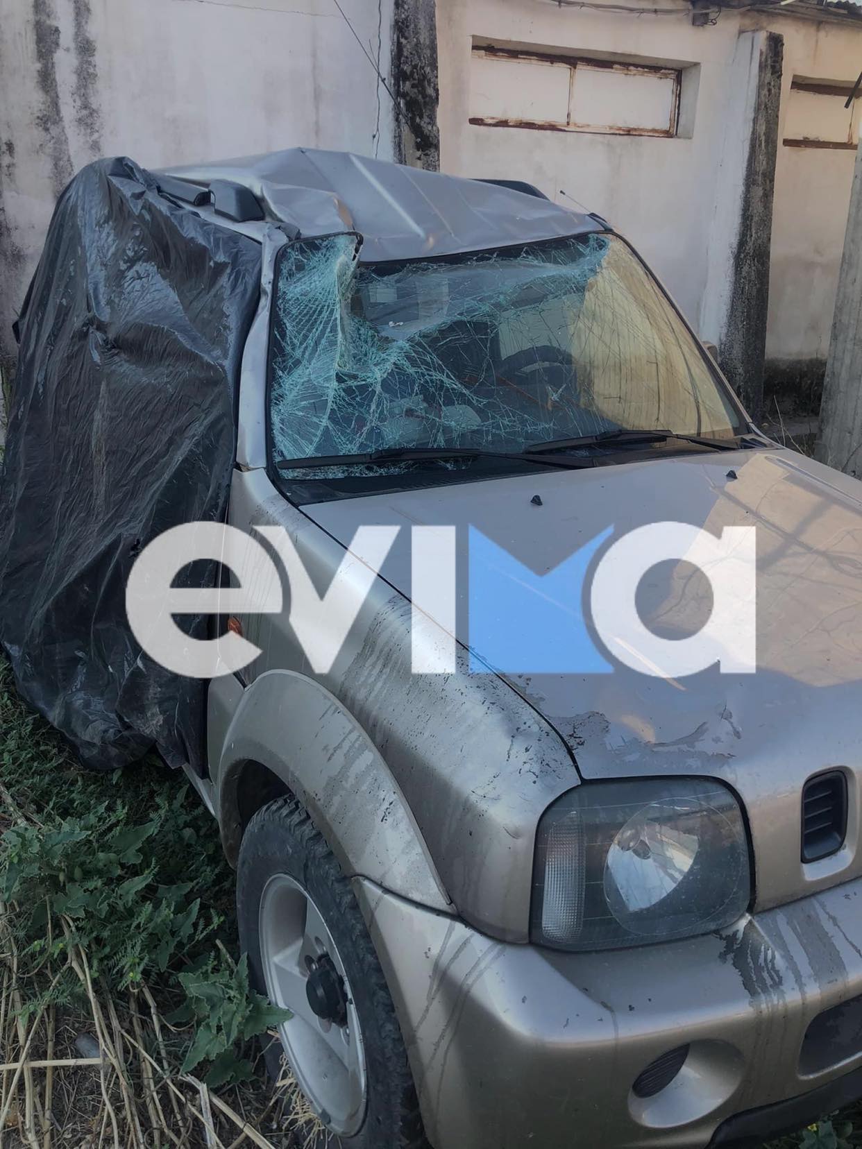 Εύβοια: Οδηγός γλίτωσε από θαύμα μετά από σύγκρουση με αγριογούρουνα