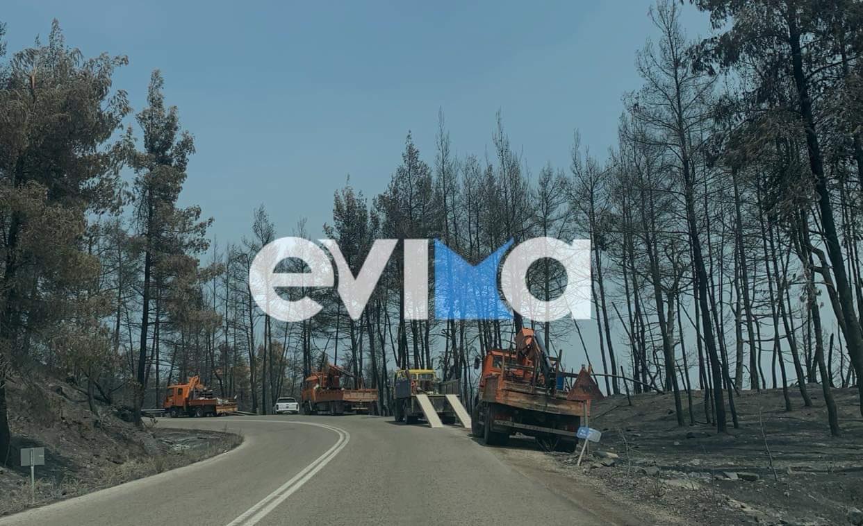 Δήμος Μαντουδίου Λίμνης Αγίας Άννας: Πολίτης που έκοβε καμένα δέντρα φταίει για την πολύωρη διακοπή ρεύματος σε χωριά της περιοχής