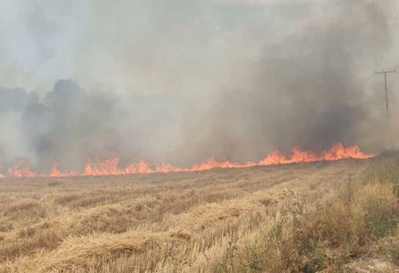 Μεσσηνία: Φωτιά κοντά στο Μεσοχώρι Πυλίας