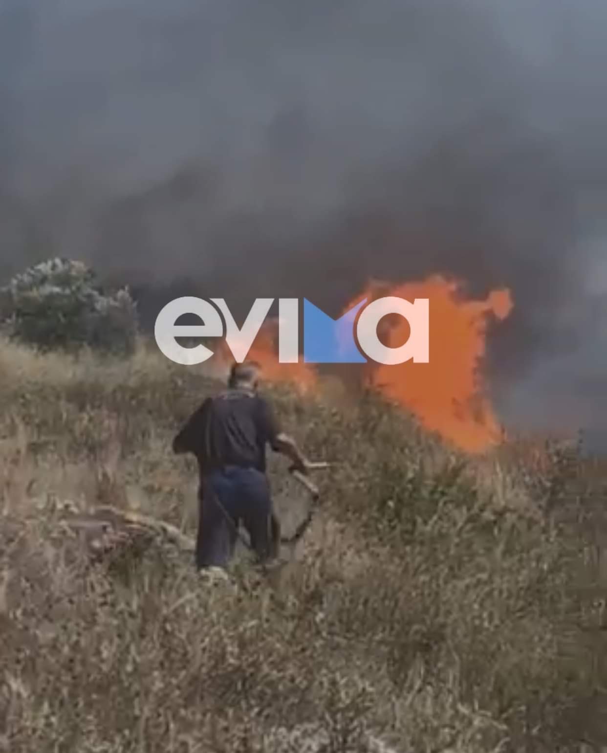 Εύβοια: Φωτιά στην Χαλκίδα πίσω από το νοσοκομείο – Οι πρώτες εικόνες