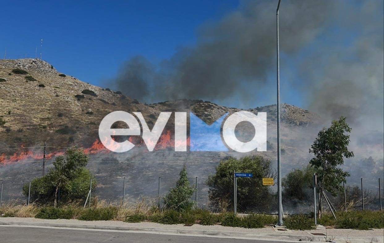 Εύβοια – Φωτιά στην Χαλκίδα: Μάχη για να μην φτάσουν οι φλόγες στο νοσοκομείο – Για εμπρησμό κάνουν λόγο μάρτυρες