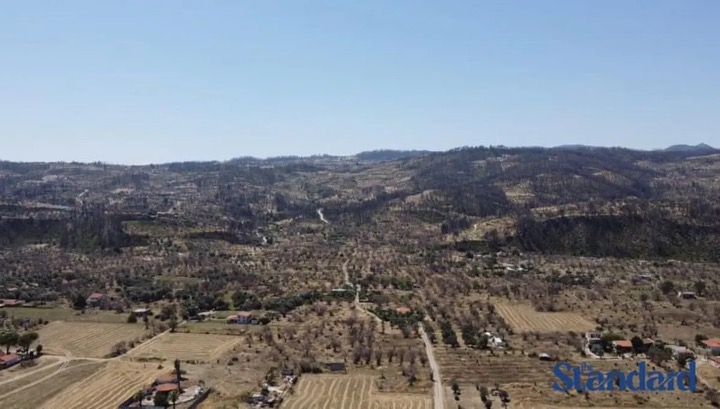 Εύβοια – Αγία Άννα: Ένας χρόνος μετά την καταστροφική πυρκαγιά (εικόνες & βίντεο)