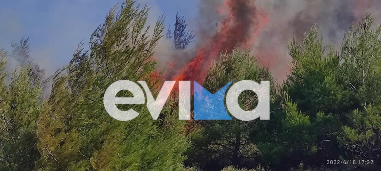 Εύβοια: Φωτιά στην παραλία Αμαρύνθου – Άμεση επέμβαση της ομάδας Αμαρύνθια Άρτεμις