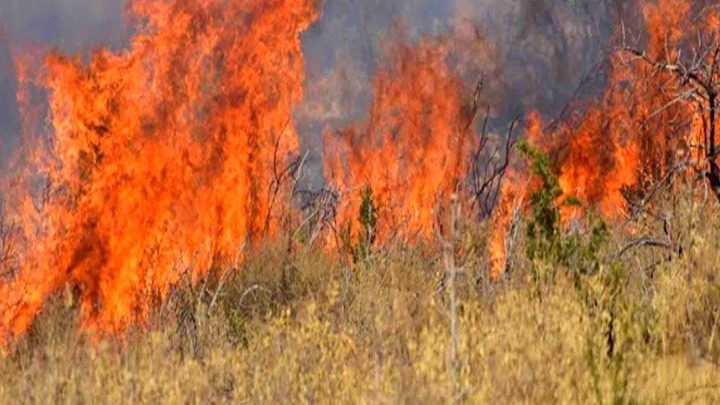 Νέα Πέραμος: Φωτιά κοντά στα διόδια Ελευσίνας προς Κόρινθο