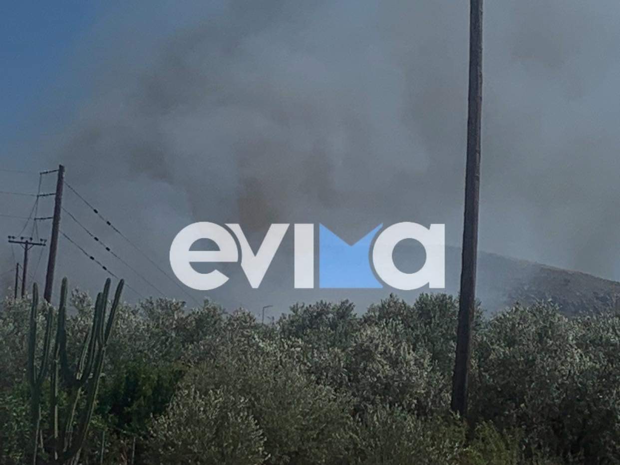 Εύβοια: Υπό έλεγχο η φωτιά στη Χαλκίδα – Μαρτυρίες για δυο εμπρηστές