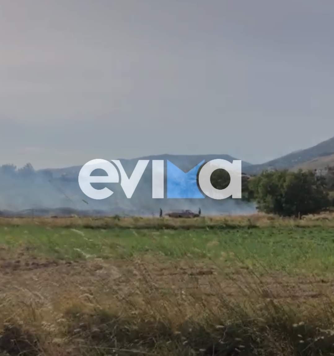 Εύβοια: Φωτιά στον Αετό Καρύστου