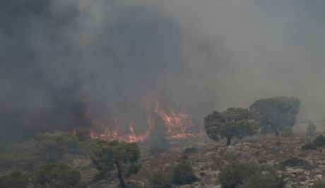 Φωτιά στη Ζάκυνθο