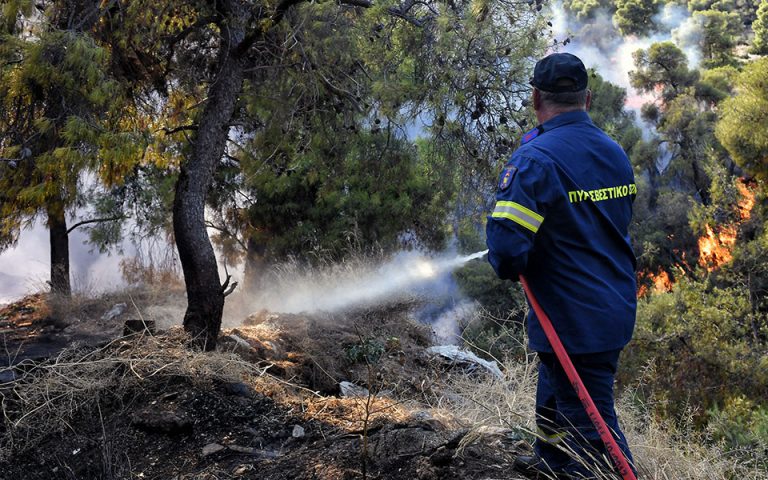 Έύβοια: Μια γυναίκα πίσω από τη φωτιά στην Παλαιοκάμαρα