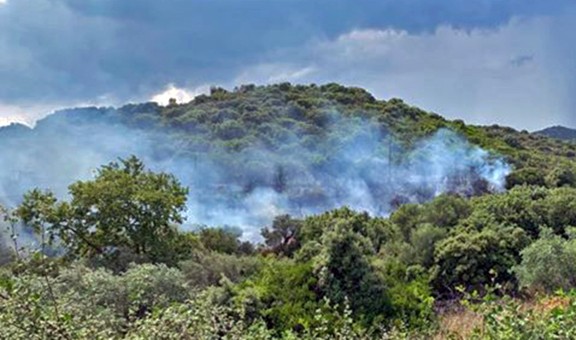 Εύβοια: Ένταση των ανέμων και υψηλό κίνδυνο για πυρκαγιές προβλέπει το meteo