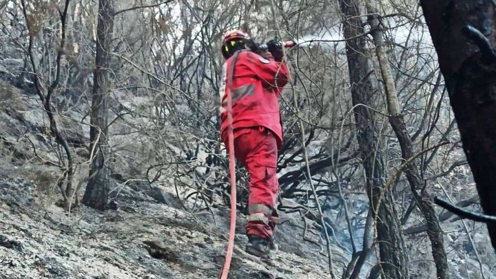 Εύβοια: «Θέλουμε λύσεις, όχι άλλα χτυπήματα στην πλάτη»- Ξεσπούν οι εποχικοί πυροσβέστες