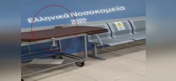 Πανικός: Ποντίκι «κόβει βόλτες» στα εξωτερικά ιατρεία νοσοκομείου