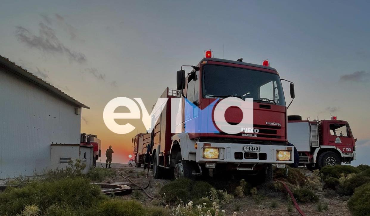 Στυλιανίδης: Δεν θα πραγματοποιηθεί καμία μετάθεση πυροσβεστών μέχρι τις 31/10 στη Βόρεια Εύβοια