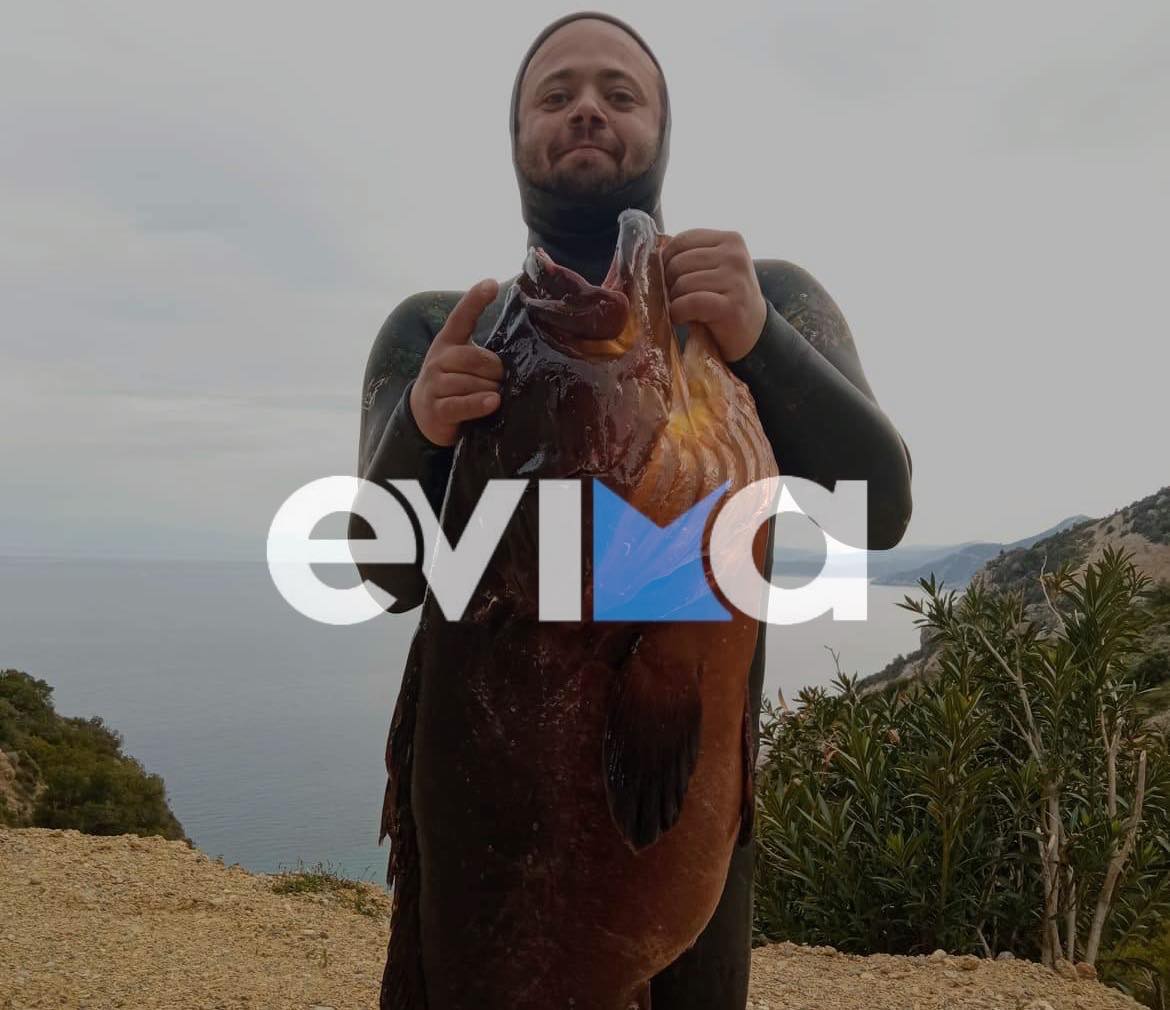 Η τέλεια Ψαριά: Ψαροντουφεκάς από την Εύβοια ξετρύπωσε ροφό 14 κιλών στο Αιγαίο