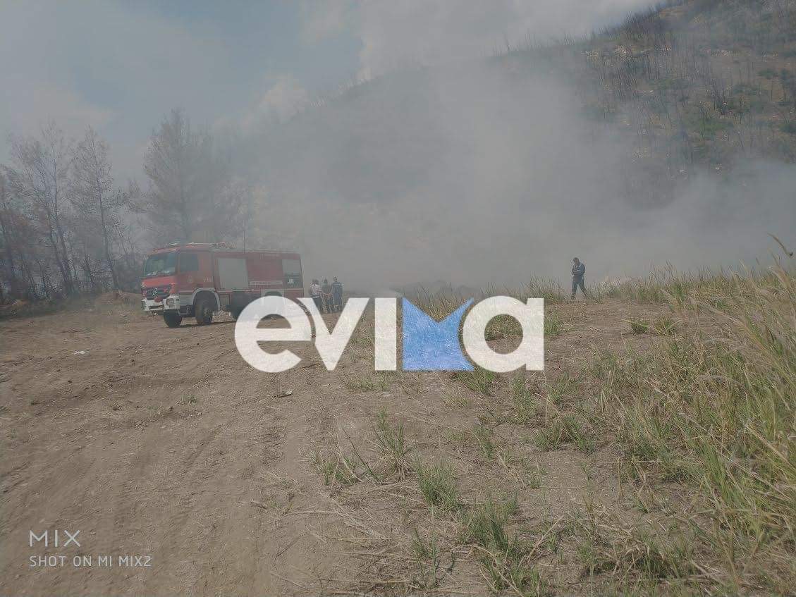 Εύβοια: Φωτιά τώρα κοντά στις Ροβιές