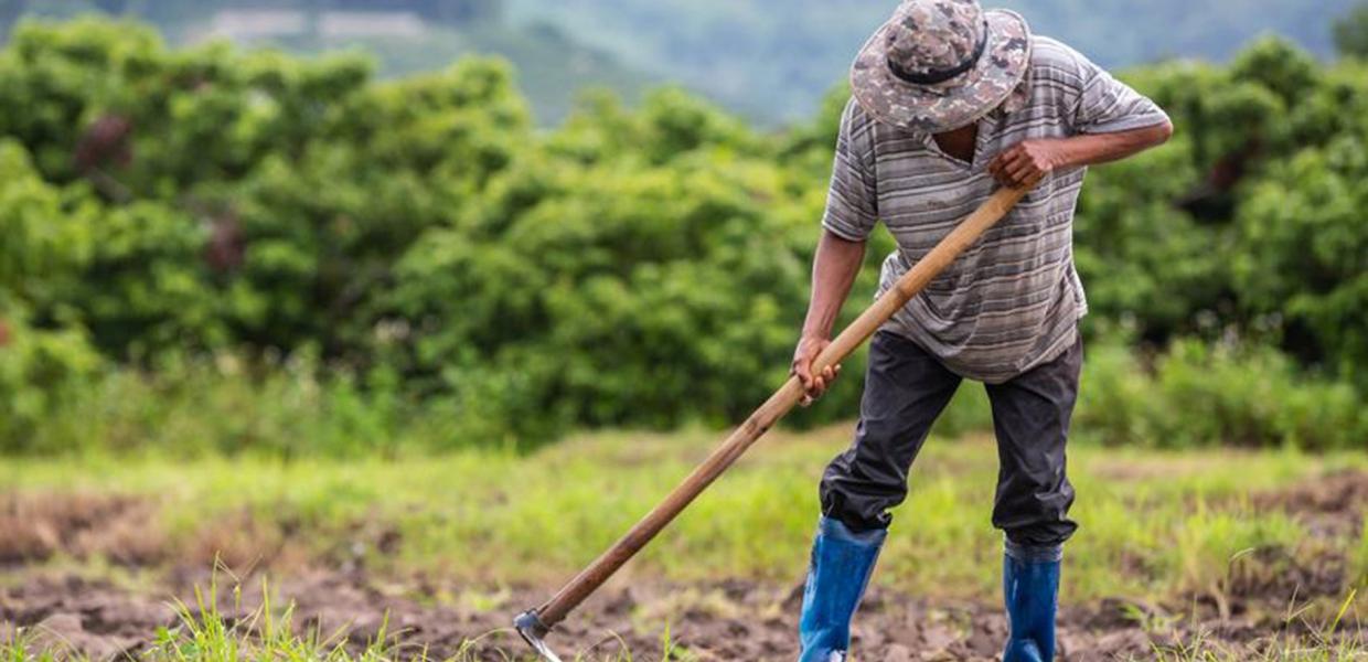 Βόρεια Εύβοια: Προκαταβολή επιχορήγησης και σε μη κατά κύριο επάγγελμα αγρότες- Τι πρέπει να ξέρετε
