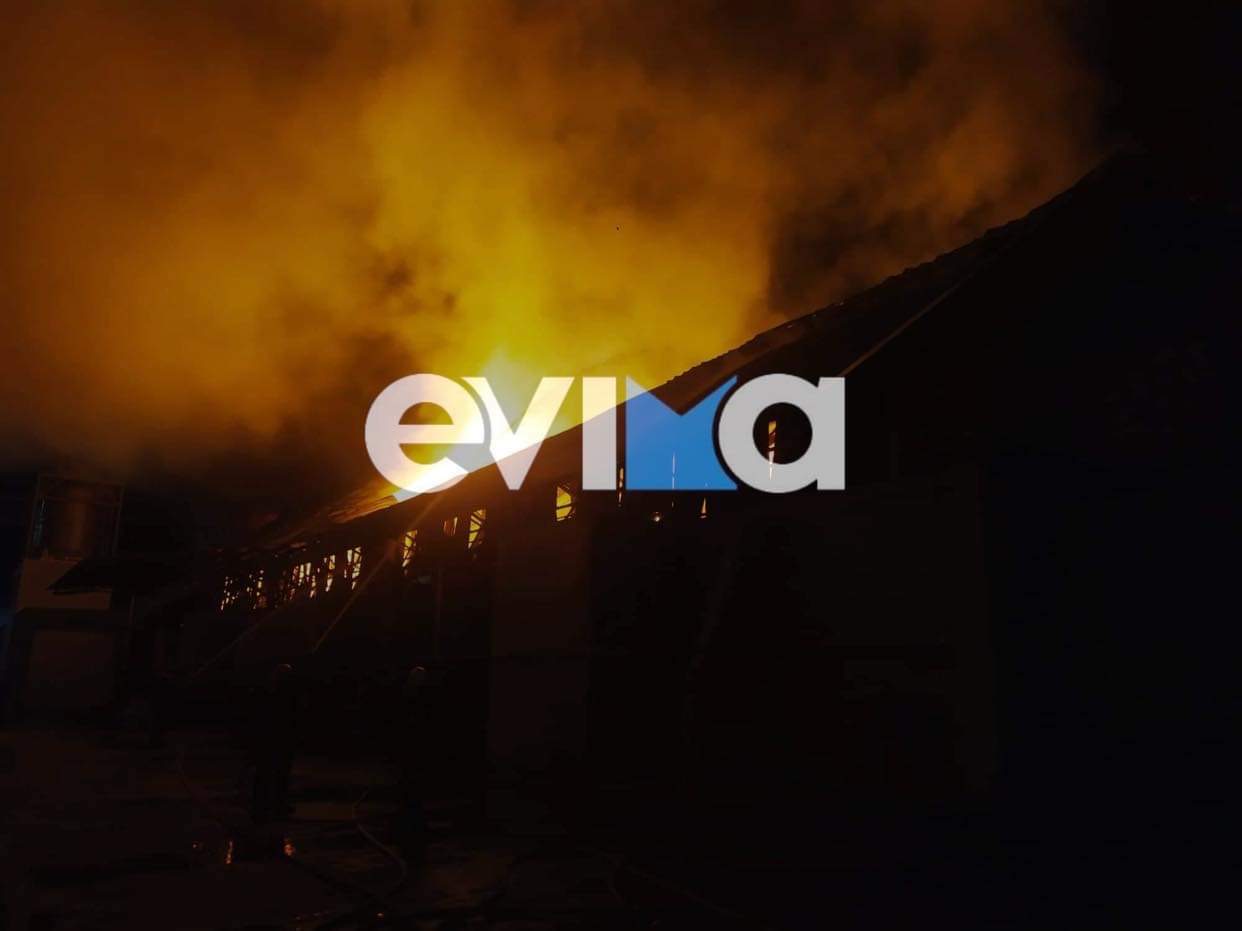 Εύβοια: Φωτιά σε εργοστάσιο στα Ψαχνά – Κάηκαν ολοσχερώς αποθήκες- Οι πρώτες εικόνες