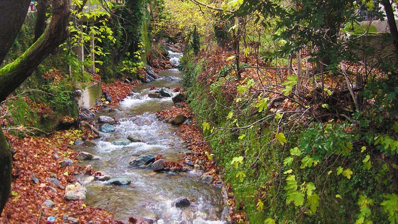 Εύβοια: Τα γραφικά χωριουδάκια ιδανικά για φθινοπωρινές αποδράσεις