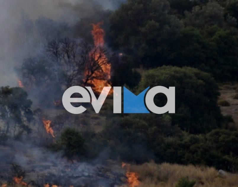 Εύβοια: Φωτιά τώρα στη Ριτσώνα