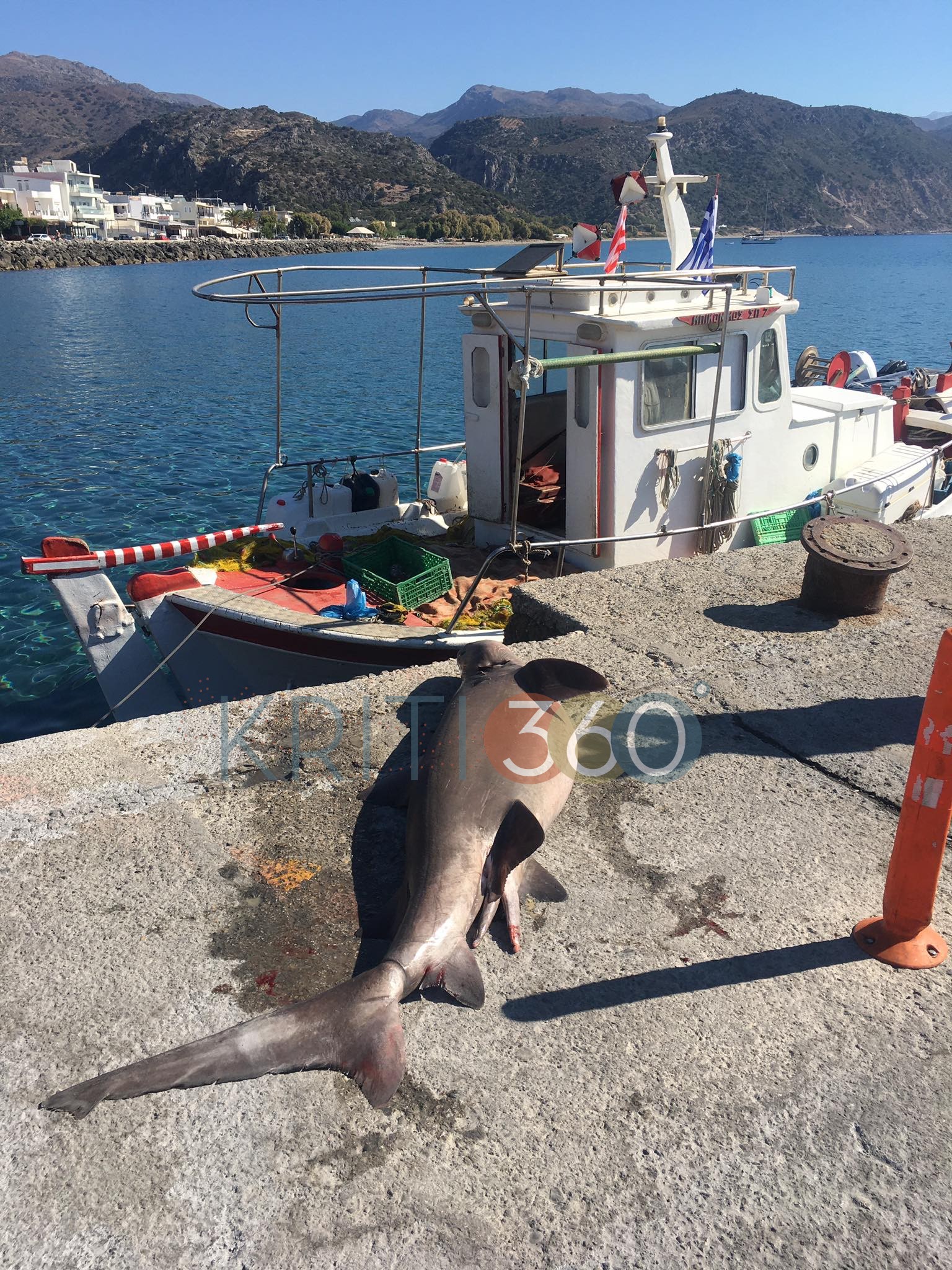 Αλιείς ψάρεψαν ολόκληρο θηρίο (φωτο)