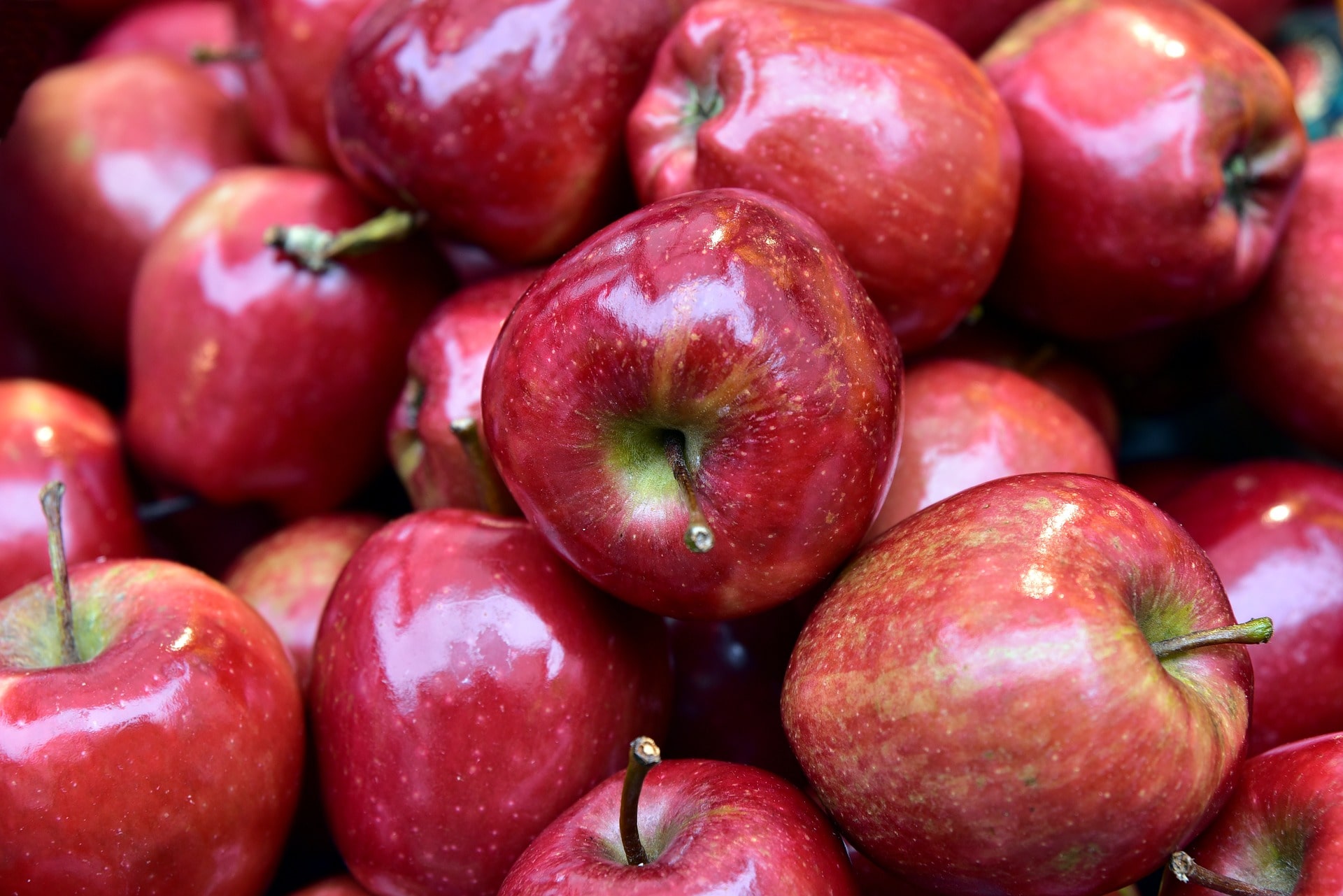Μήλα: Απούλητη η φετινή παραγωγή –  Σε αδιέξοδο οι αγρότες
