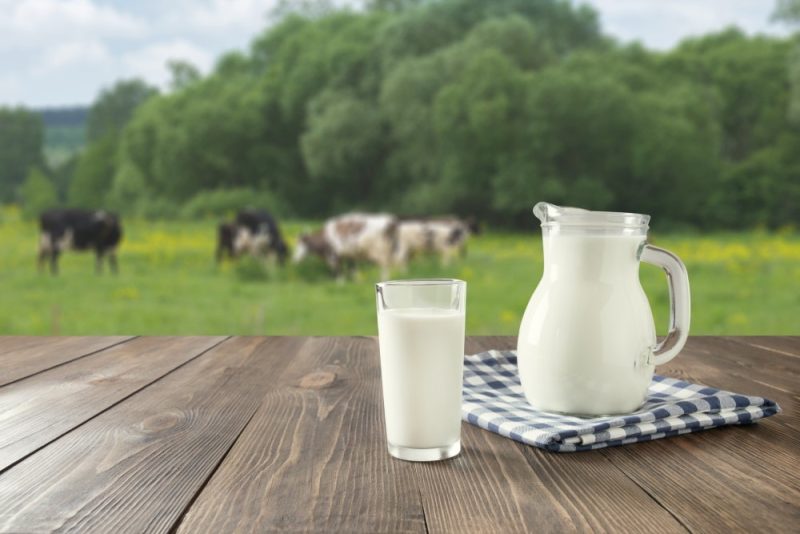 Γάλα… «λευκός χρυσός»: Όλο και ακριβαίνει η τιμή του