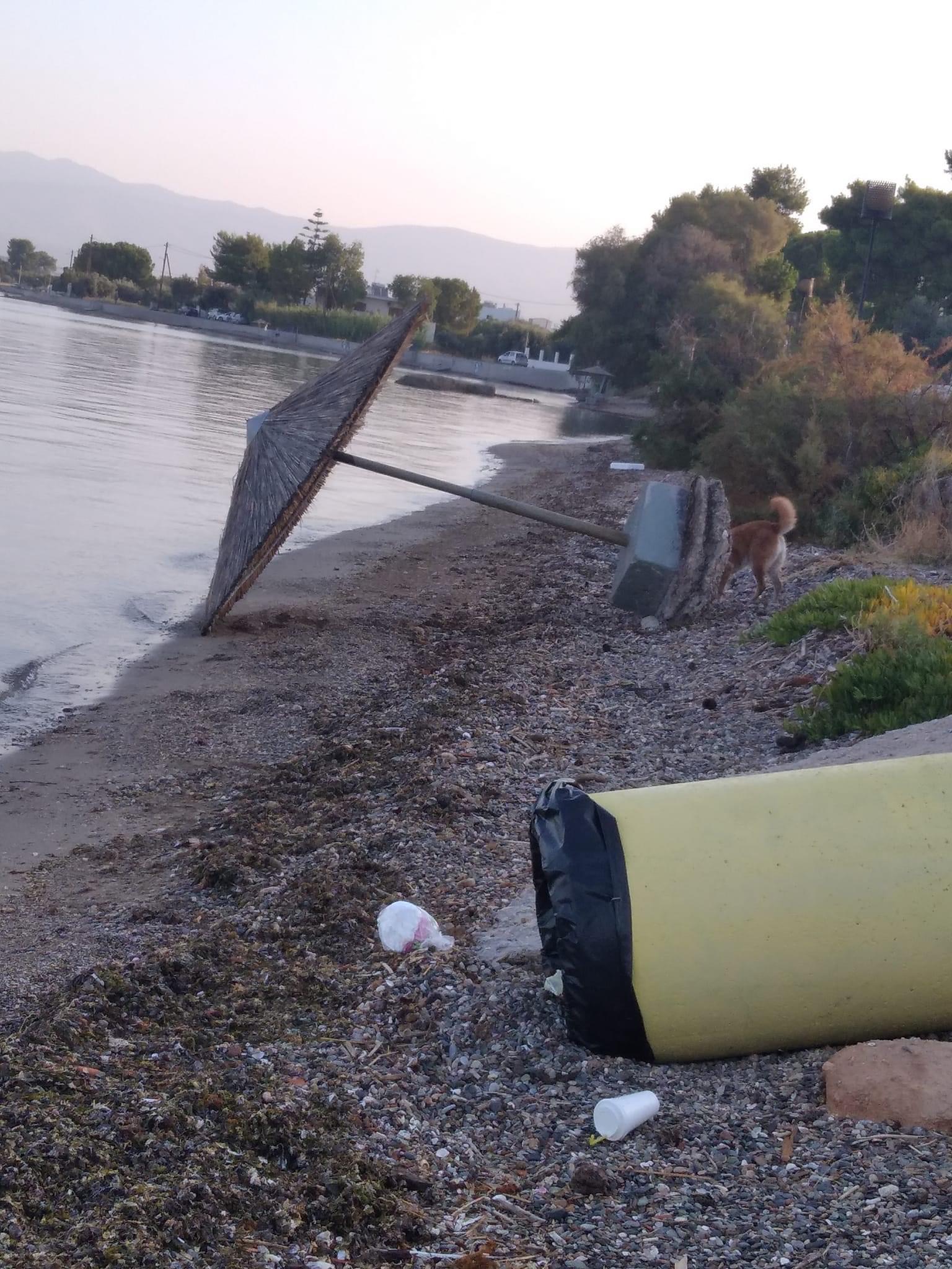 Εύβοια: Αναποδογύρισαν κάδους και ομπρέλες σε παραλία στη Χαλκίδα