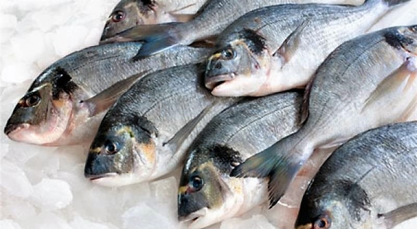 Στα ύψη οι τιμές των ψαριών: Δε γλίτωσαν από την ακρίβεια