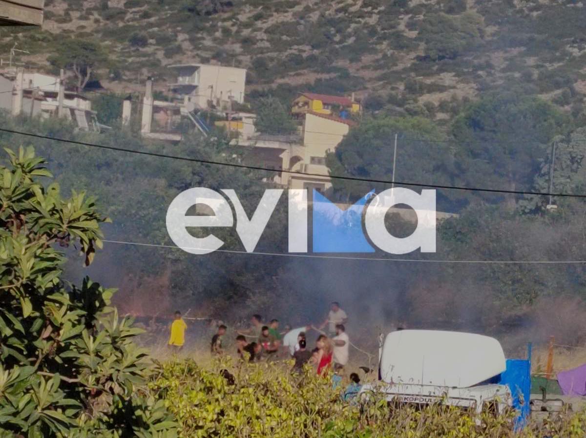 Φωτιά τώρα κοντά σε σπίτια στη Χαλκίδα – Οι πρώτες εικόνες