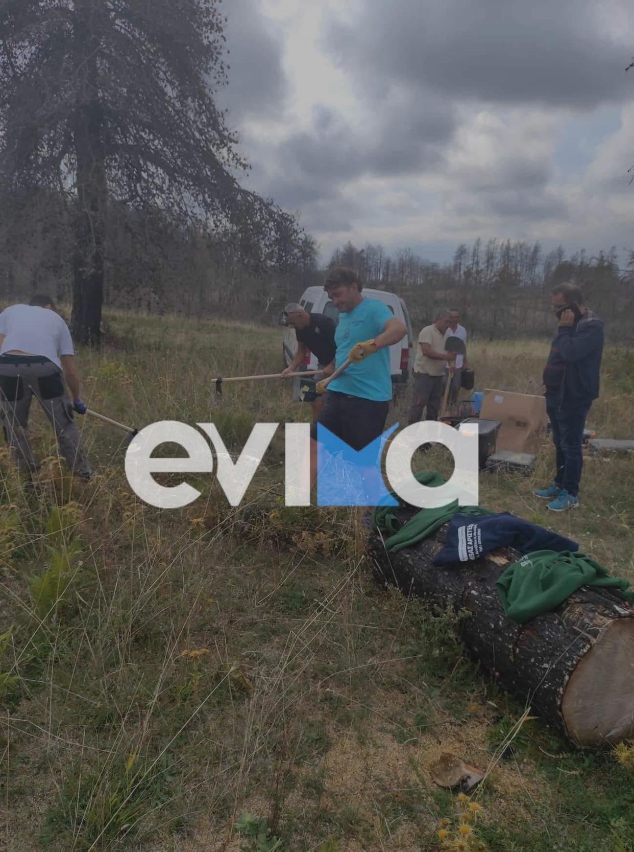 Εύβοια: Ξεκίνησαν οι ανασκαφές στο απολιθωμένο δάσος της Κερασιάς