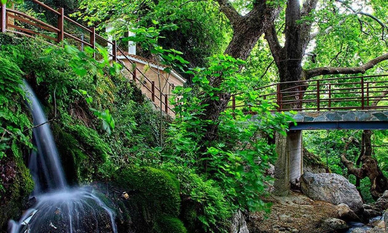 Ένας μικρός καταπράσινος «παράδεισος» στην Εύβοια- Ποιο χωριό του νησιού είναι  «θαμμένο» μέσα στη φύση