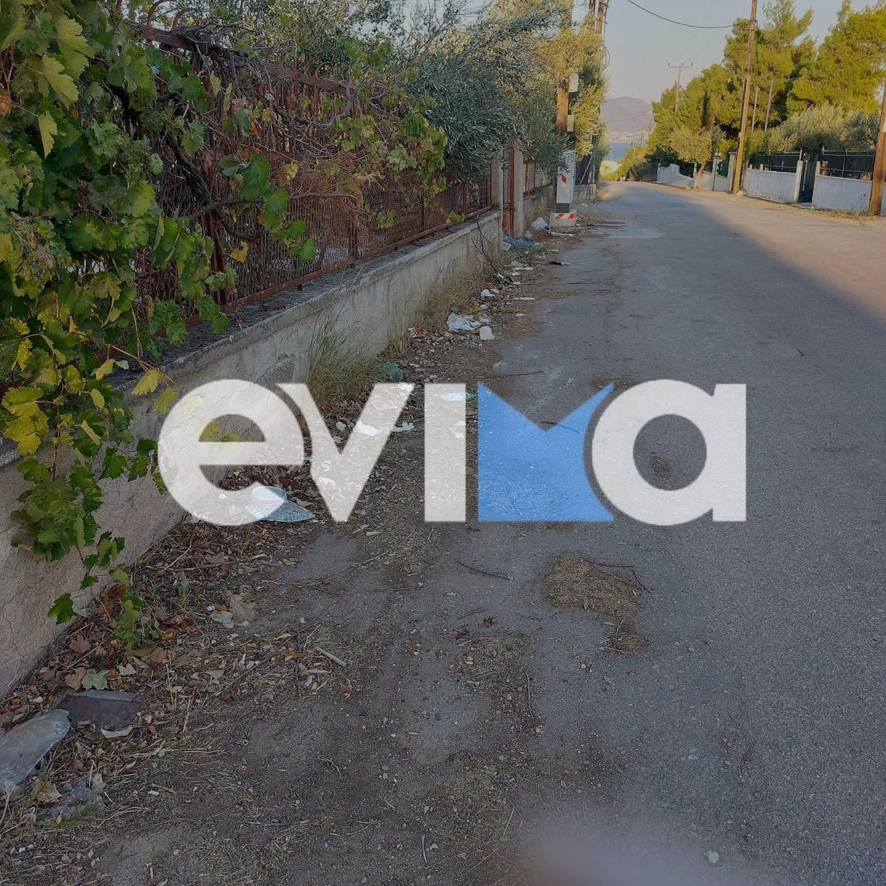 Χαλκίδα: Γεμάτοι με σκουπίδια οι δρόμοι της Δροσιάς – Τι αναφέρουν οι κάτοικοι