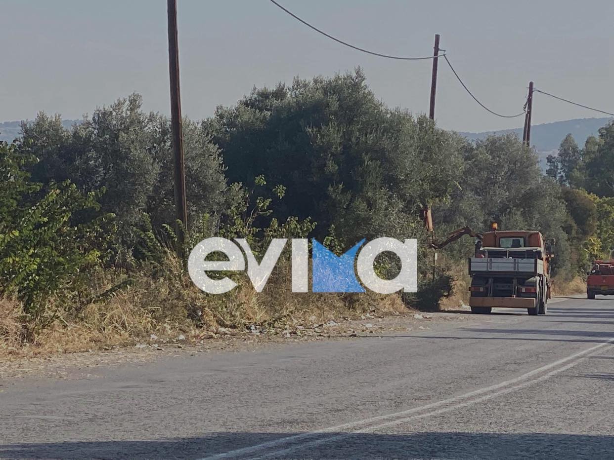 Εύβοια: Το κλάδεμα των δέντρων από συνεργεία του Δήμου αποκάλυψε… σκουπιδότοπο στον περιφερειακό Αλιβερίου