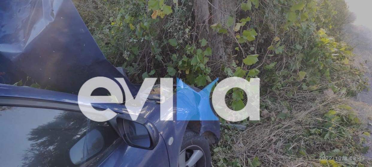 Τροχαίο στο Αλιβέρι: Έσκασε το λάστιχο και «καρφώθηκε» σε δέντρο – Δύο νεαροί τραυματίες (pics)