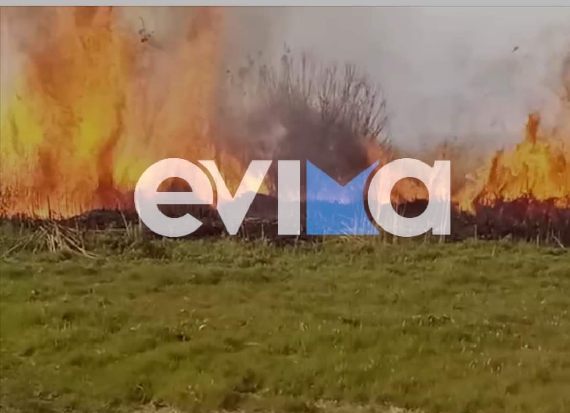 Εύβοια: Πρόστιμο για την φωτιά στον δήμο Ιστιαίας – Αιδηψού