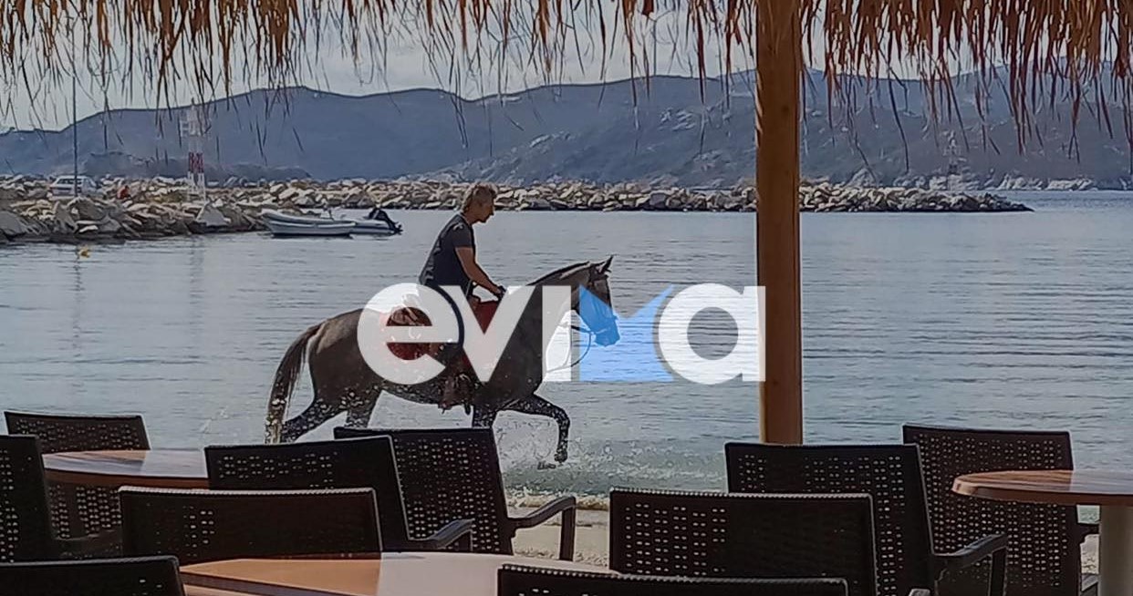 Εύβοια: Νέο εντυπωσιακό θέαμα με άλογο να κάνει βόλτες στο νερό στην παραλία Αγίων Αποστόλων