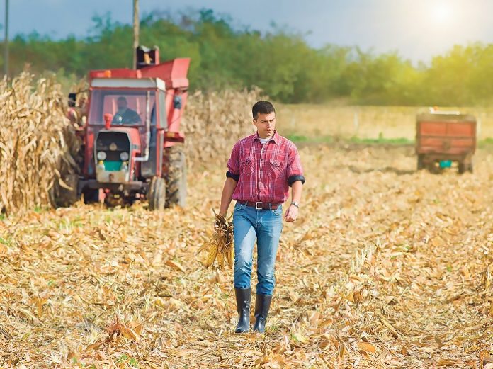 Εύβοια: Λήγει η προθεσμία για επιστροφή ΦΠΑ στους αγρότες- Τι πρέπει να προσέξετε