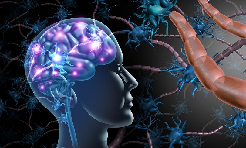 Έρευνα για τους super-agers»: Τι συμβαίνει με τους νευρώνες 80αρηδων με άριστη μνήμη
