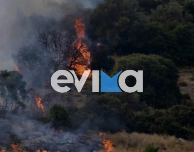 Eύβοια: Μια σύλληψη για πρόκληση φωτιάς